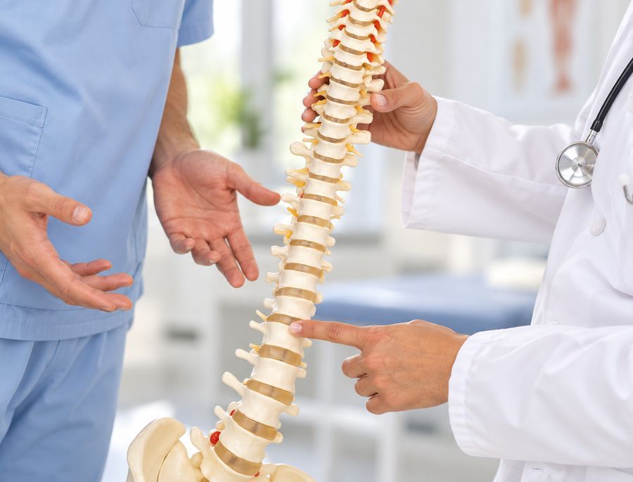 Doctor explaining the spine on a spine model